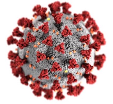 Virus