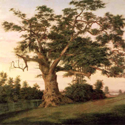 The State Tree