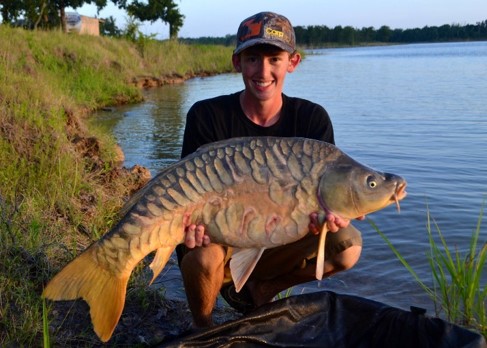 mirror_carp