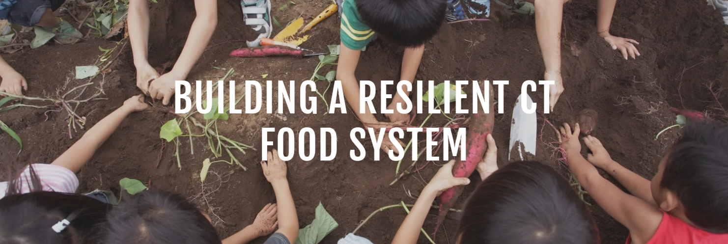 CT Food Policy Council