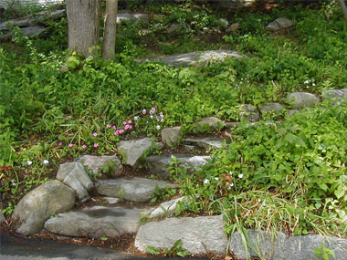 Camp Harkness Donny's Garden