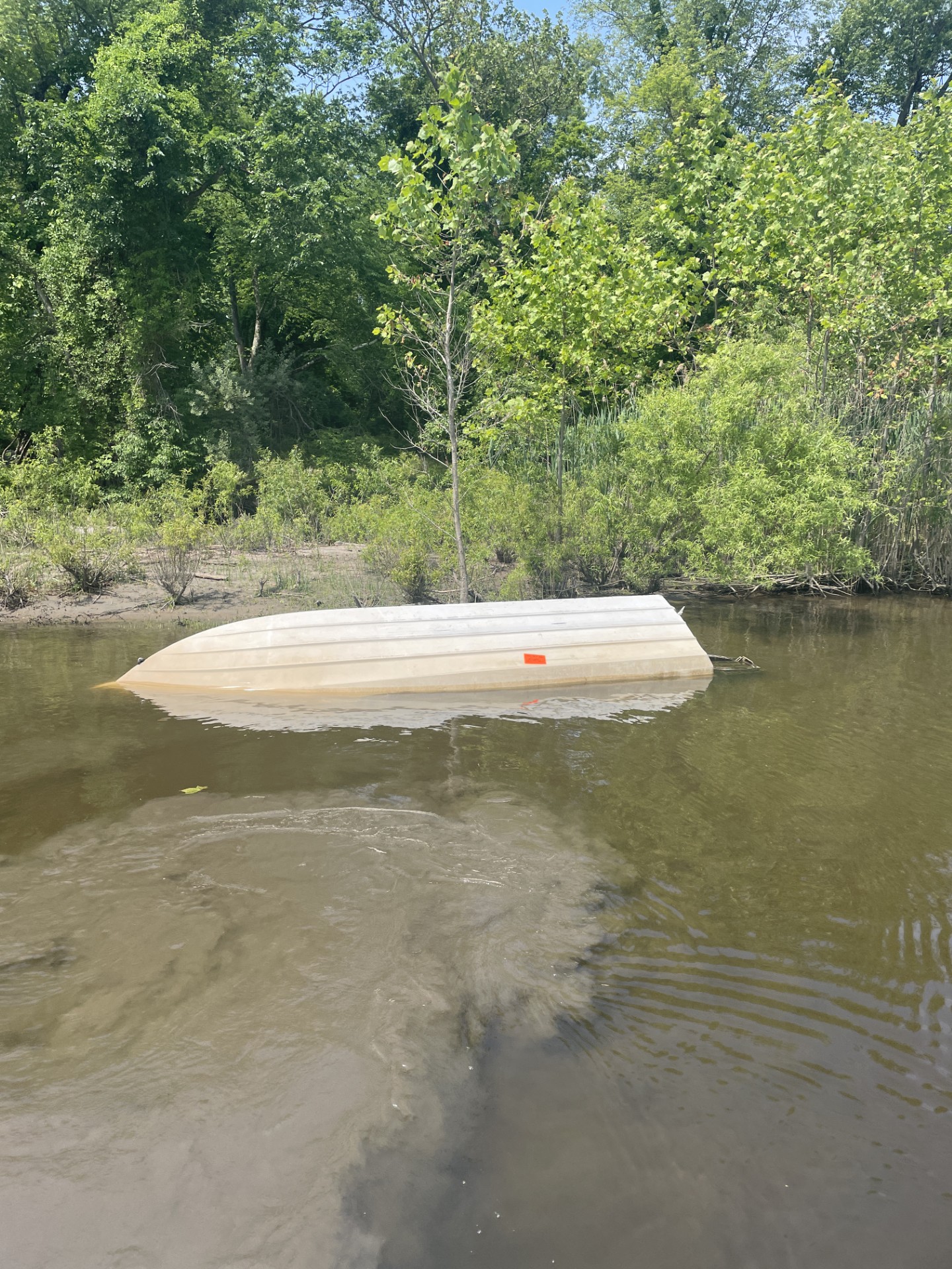 19', Bayliner