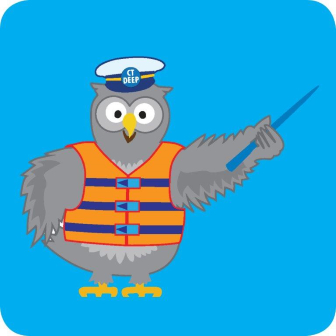 image of an owl