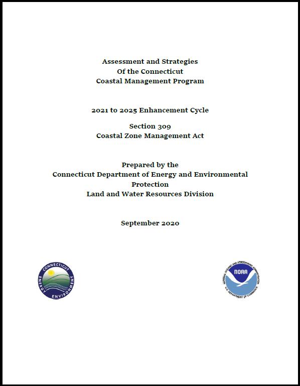 Cover of the CT Section 309 assessment for the 2021 to 2025 enhancement cycle