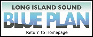 Blue Plan Home button