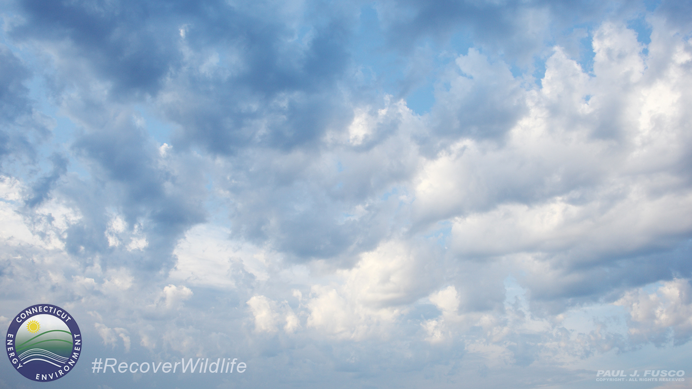 Clouds
