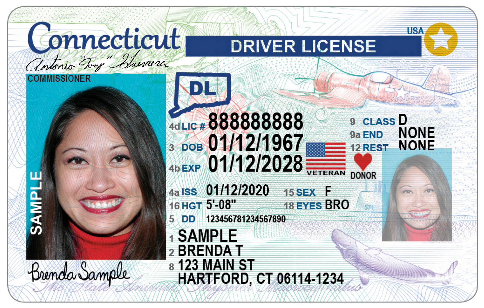 Sample REAL ID license