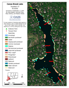 Aquatic vegetation map for the 2024 Canoe Brook Lake survey.