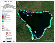 Vegetation map of Cream Hill Lake in Cornwall, CT. Different plant species are mapped using different colors.