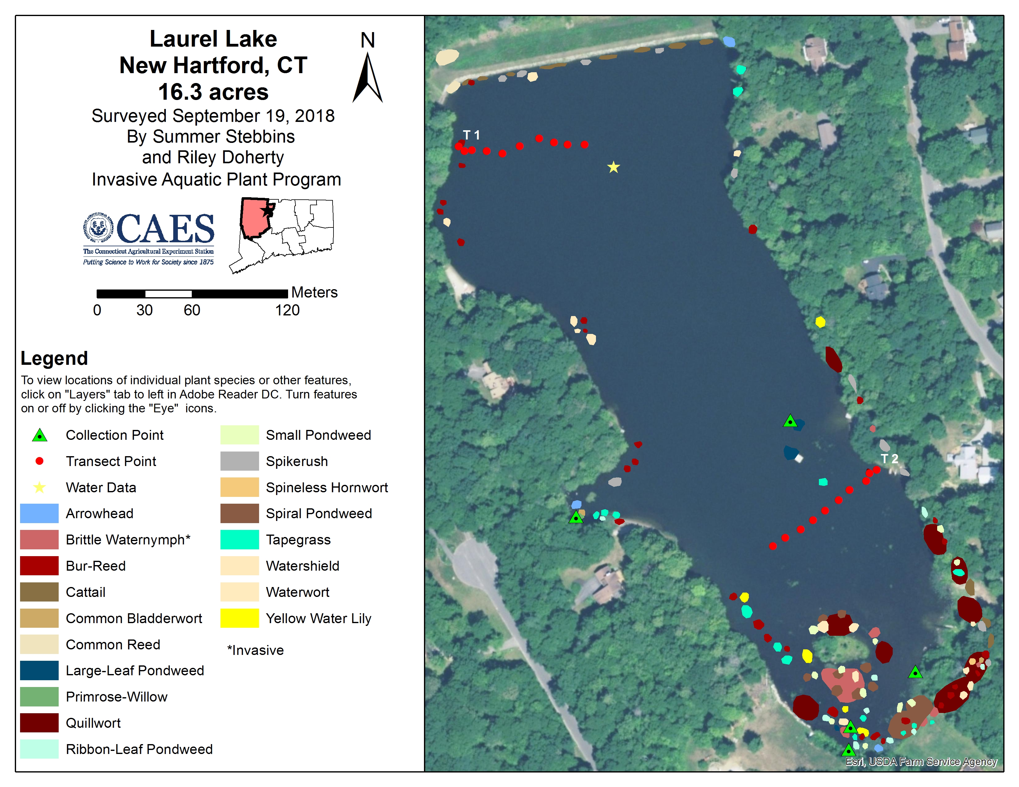 Map of Laurel Lake, New Hartford 2018