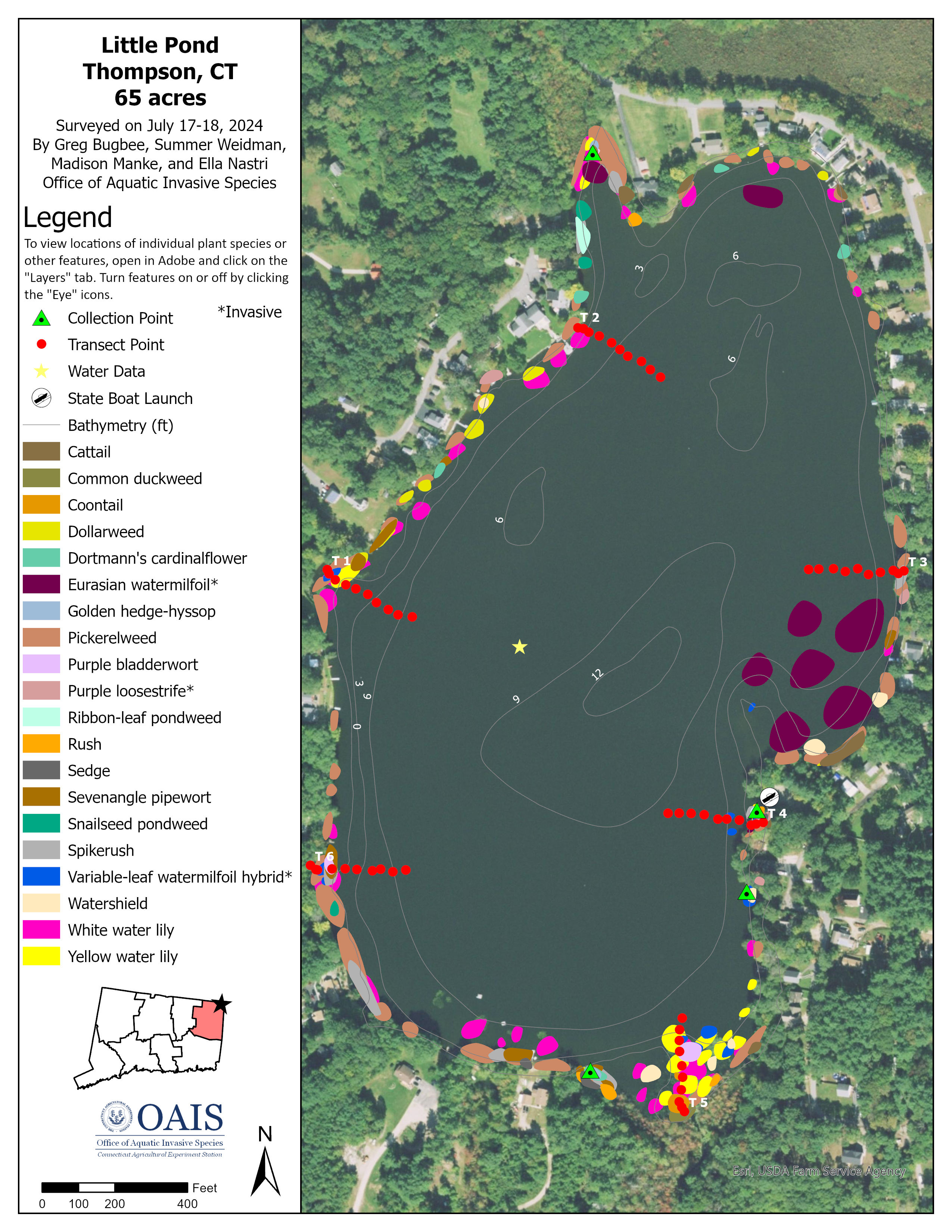 Vegetation map of Little Pond in Thompson, CT. Each plant species is marked with a different color. 