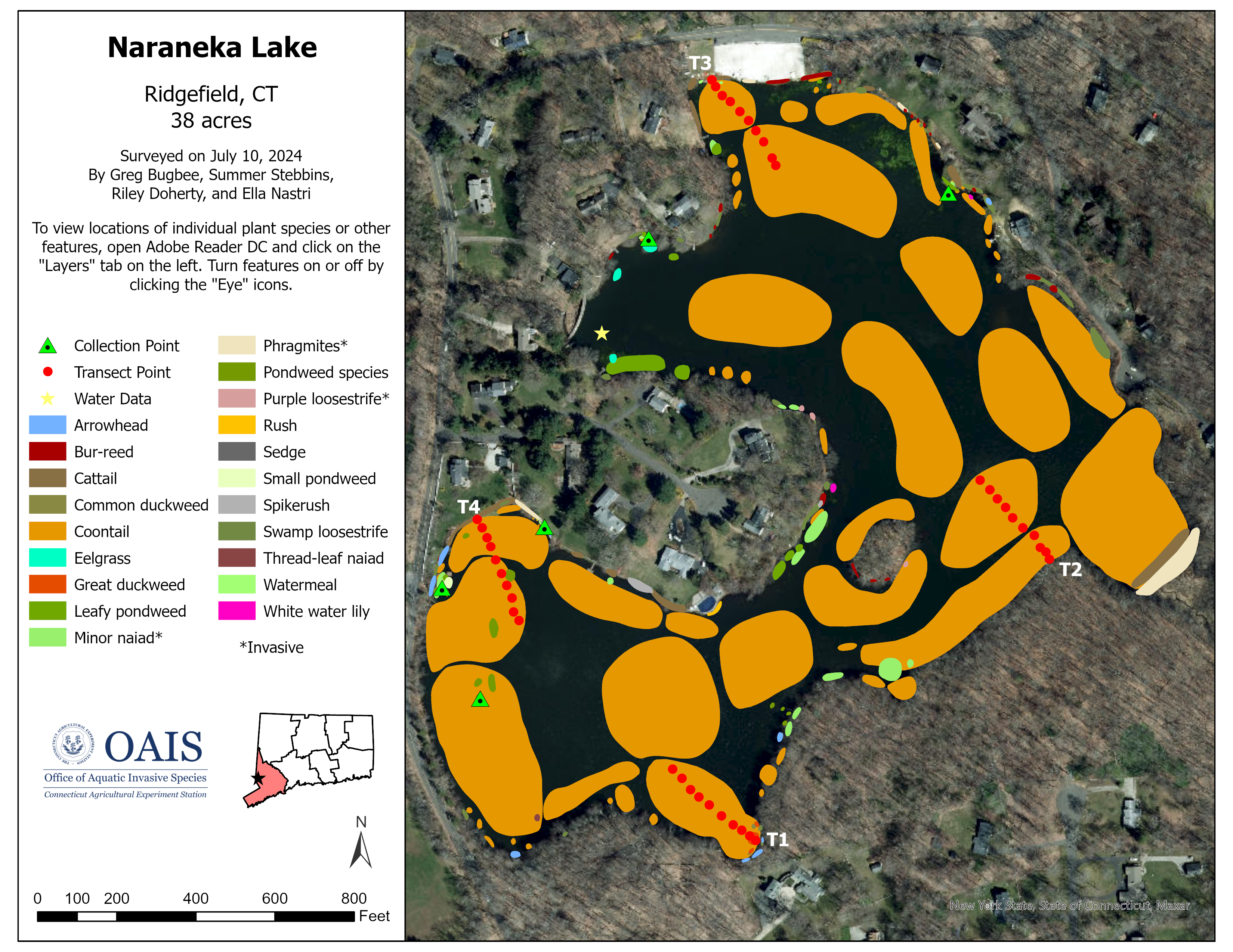 Aquatic vegetation survey map of Naraneka Lake in 2024.