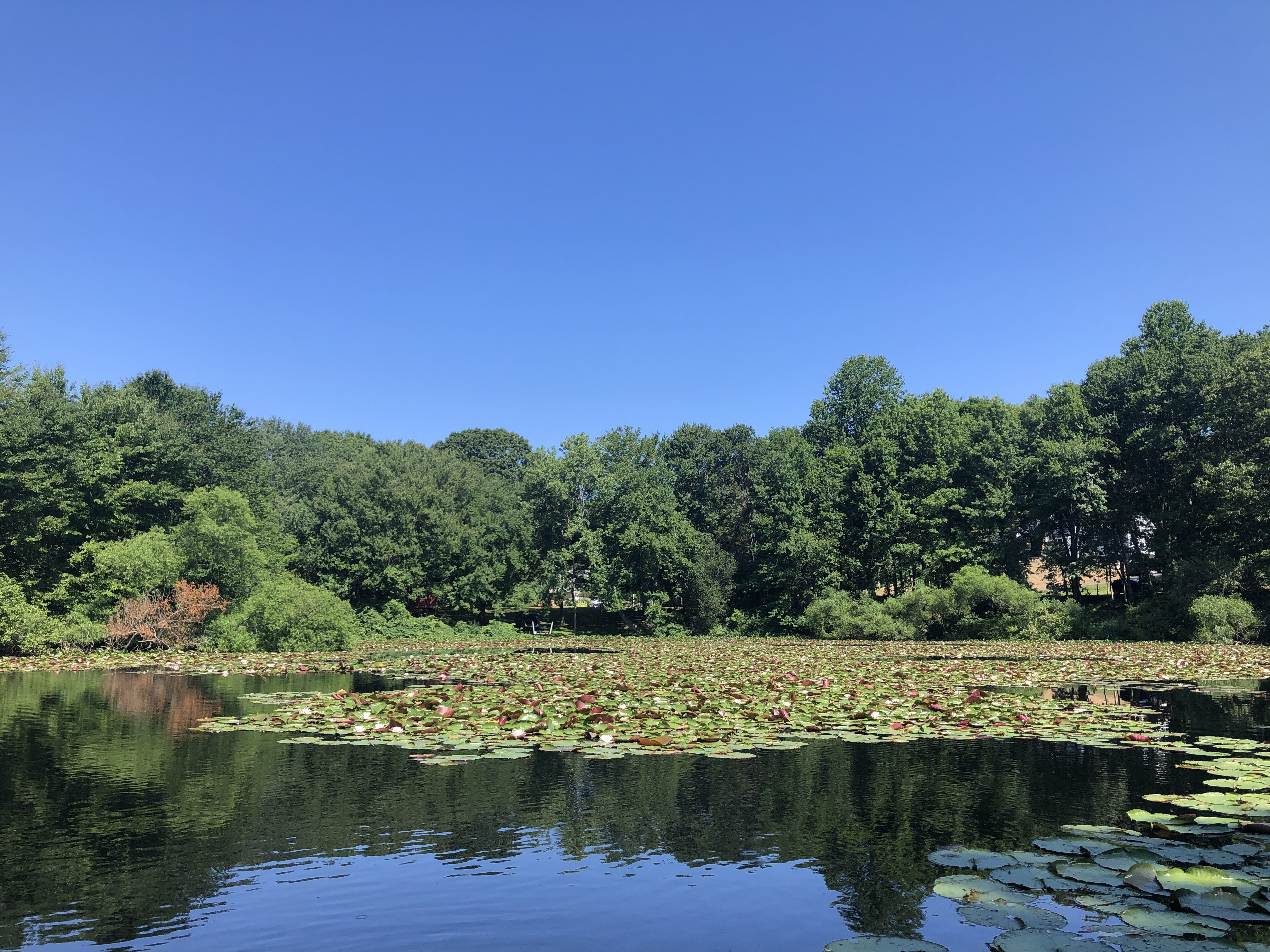 Photo of Thirsty Lake on July 20, 2022