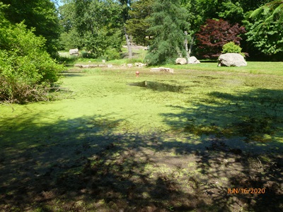 Vernal Pond, Guilford, CT