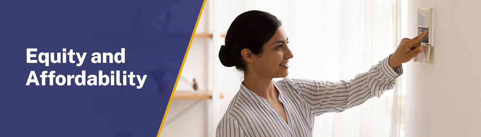 Equity and Affordability main header