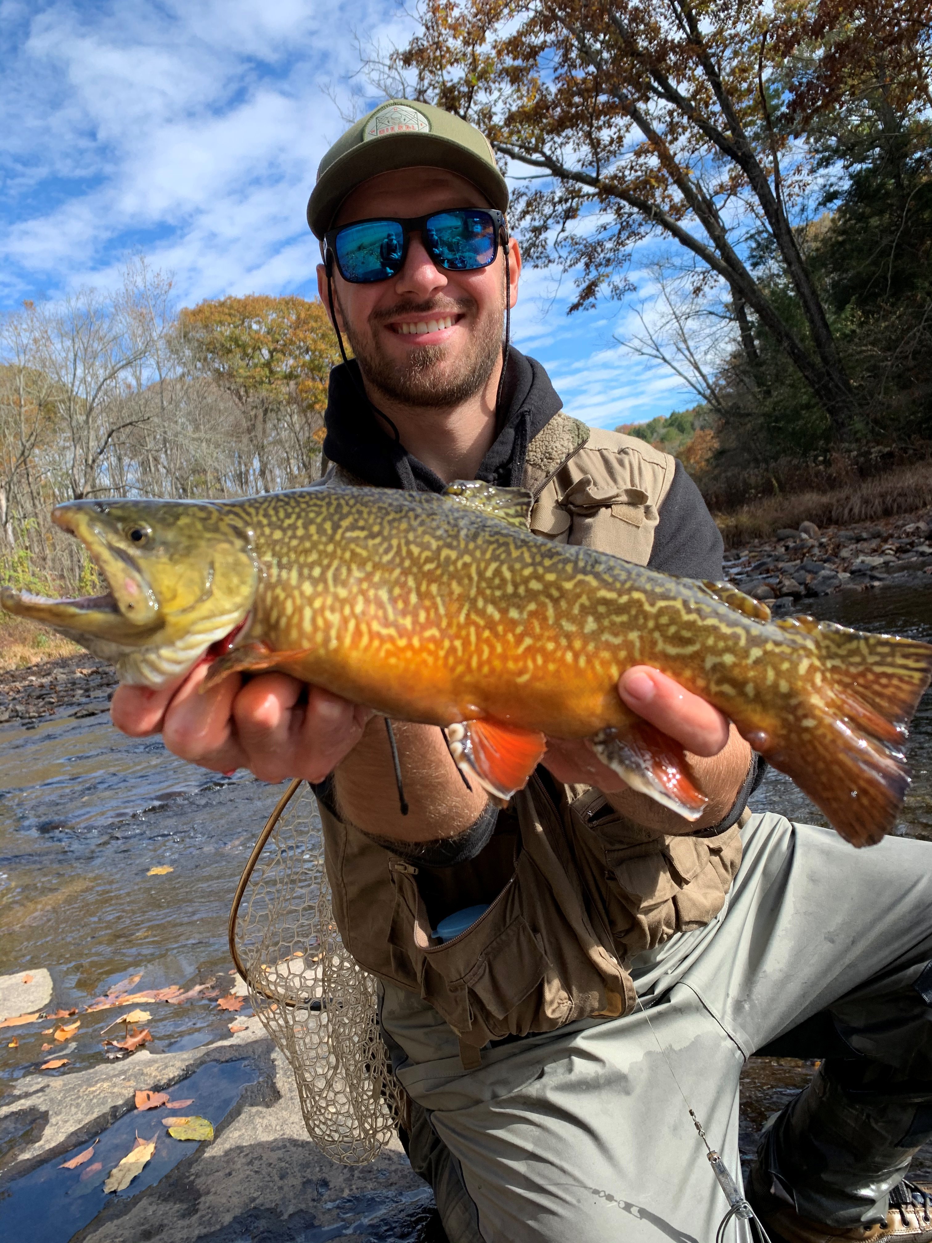 tiger trout