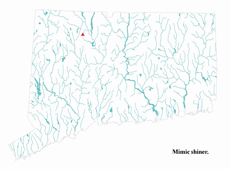 Mimic shiner distribution map.