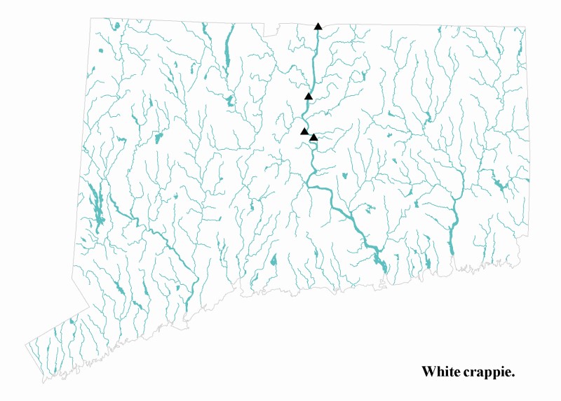 White crappie distribution map.
