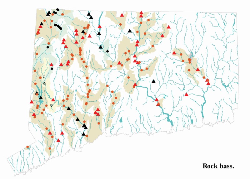 Rock bass distribution map.