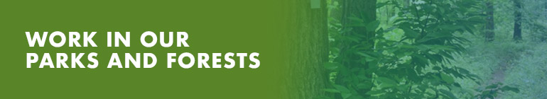 Image of forest with text work in our forests and parks