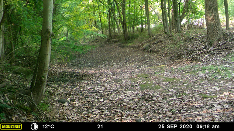 Streamflow Category 1