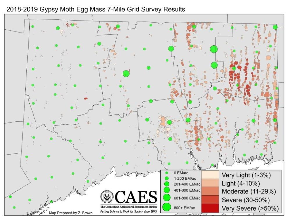 2018-2019 Egg Mass Survey