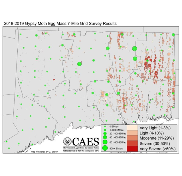 2018-2019 Egg Mass Survey