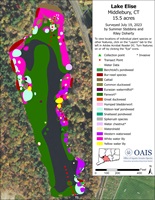 2023 aquatic vegetation map of Lake Elise.