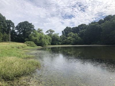 Photo of Lucky Pond in 2022