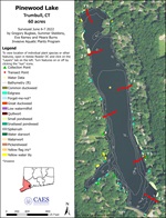 Aquatic plant survey map of Pinewood Lake in Trumbull, CT