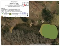 Aquatic plant survey map of Vernal Pond in Guilford, CT