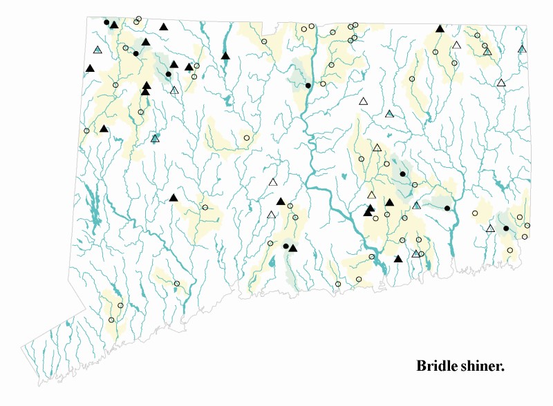 Bridle shiner distribution map. 