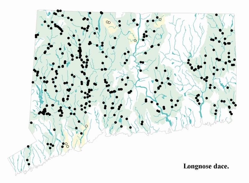 Longnose dace distribution map.