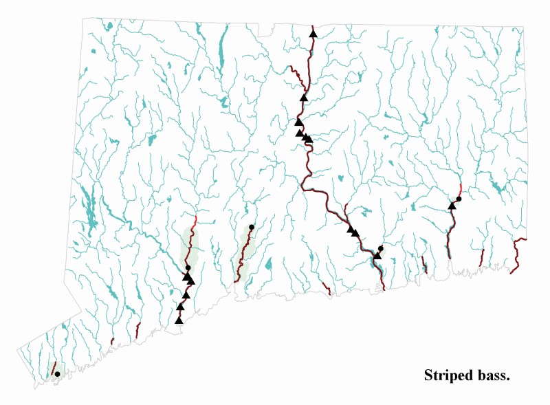 Striped bass distribution map.