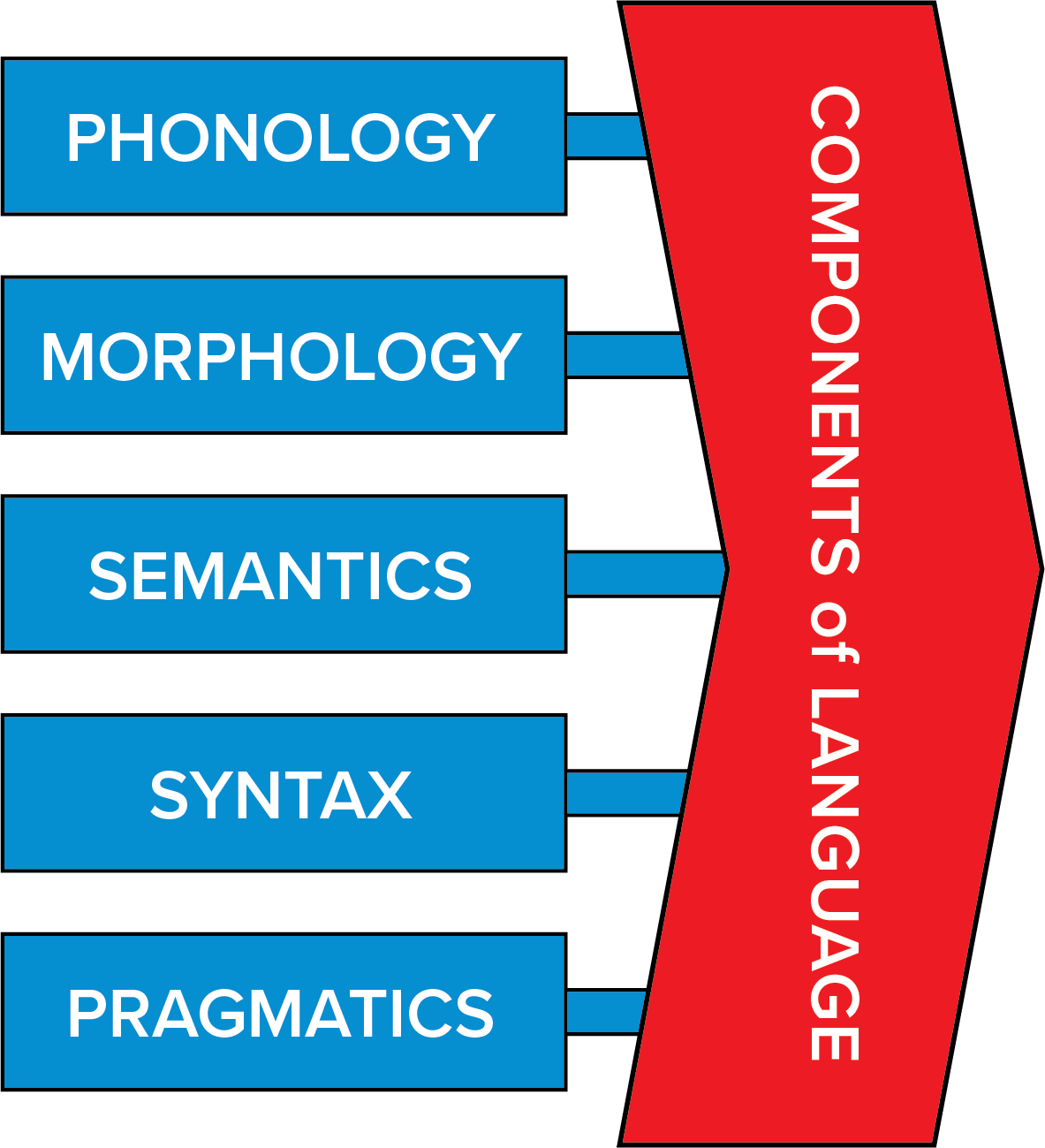 Components of Language, phonology, morphology, semantics, syntax and pragmatics
