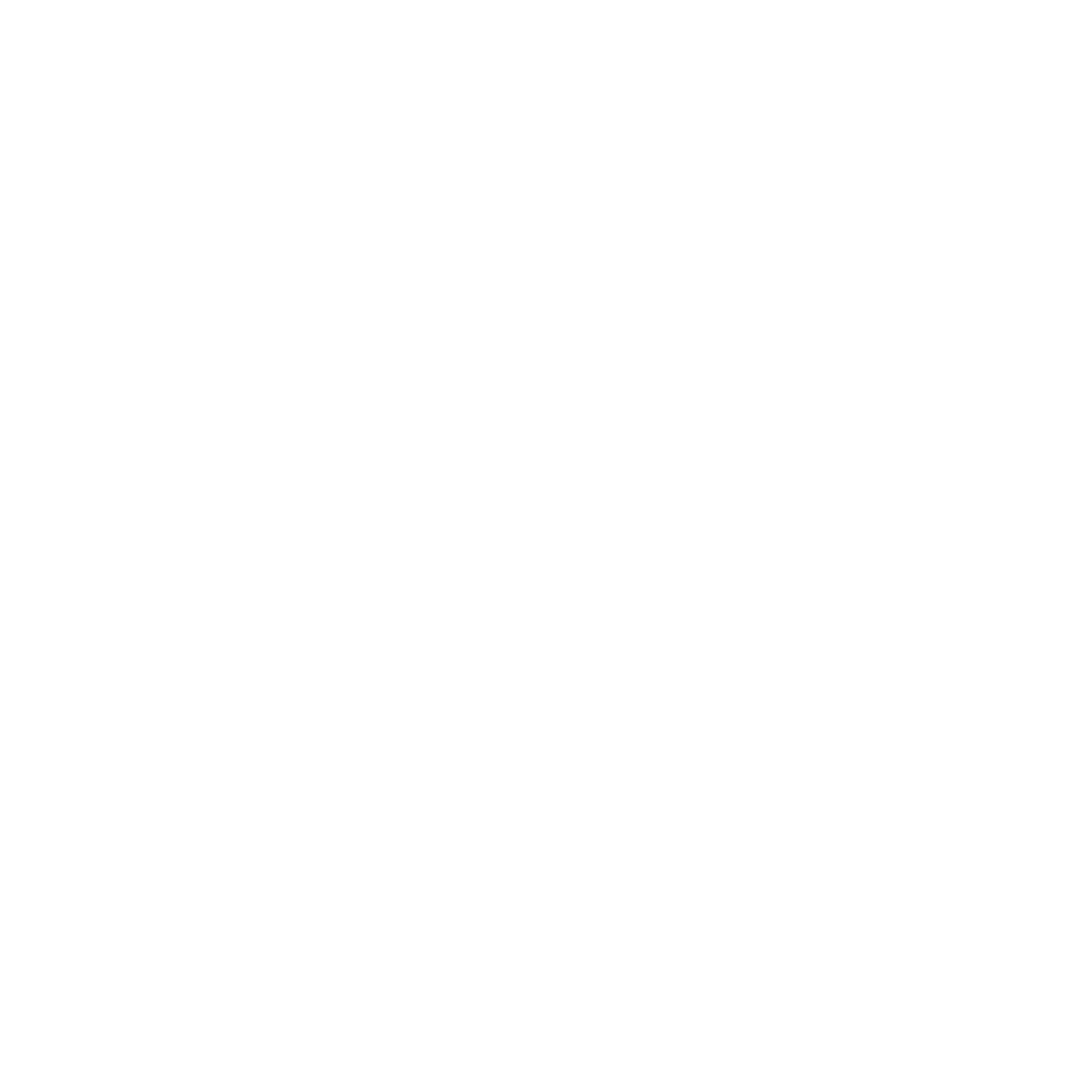 CT Secretary of the State - white seal