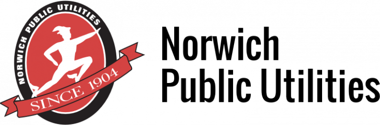 NPU Logo