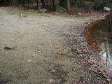 Black Pond Woodstock Ramp