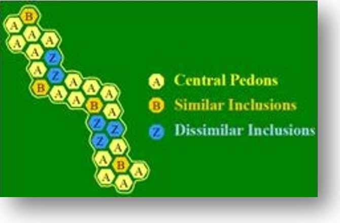 soil map polygons