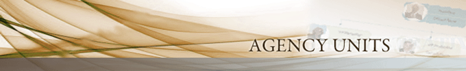 gold lines graphic with the text Agency Units