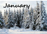 FAB Topic January 2023