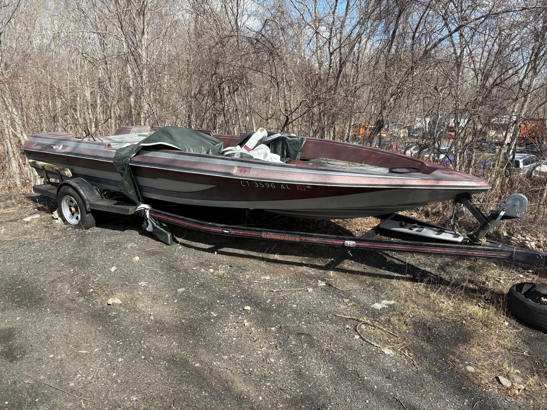 19'6", Procraft 195V