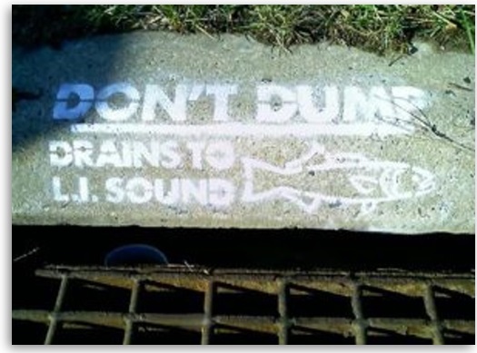 This storm drain drains directly to Long Island Sound