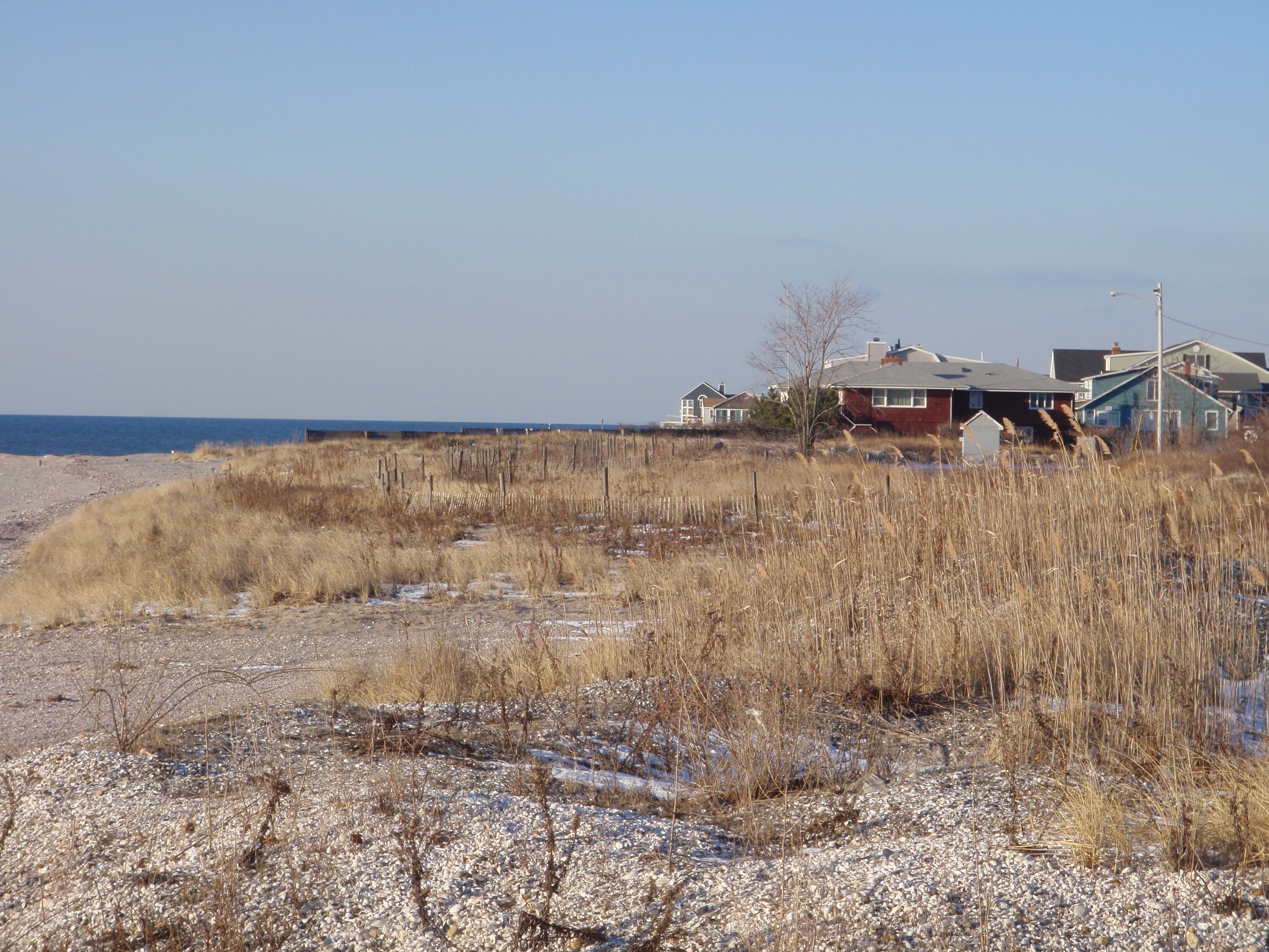 Long Beach dune image
