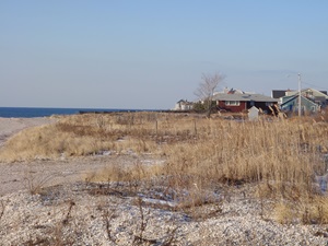 Long Beach dune image