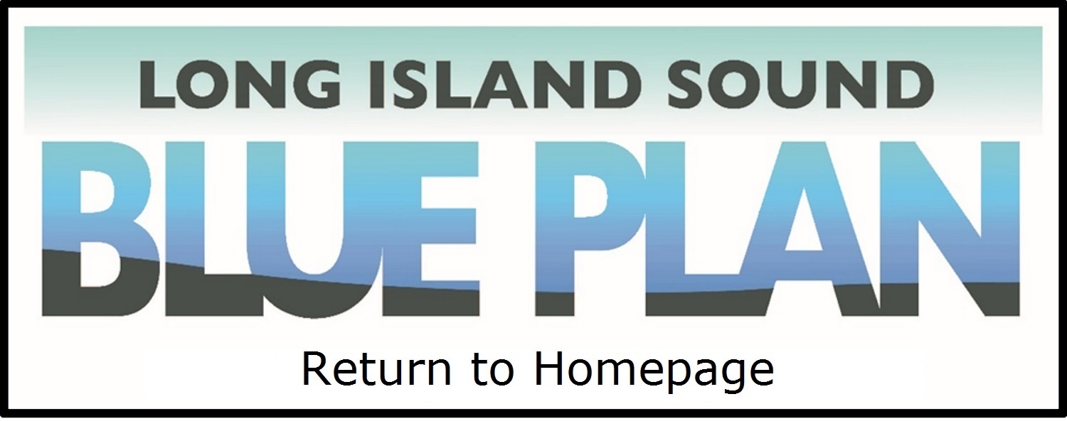 Blue Plan Home button