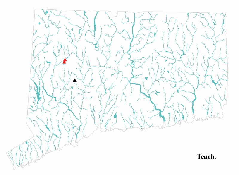 Tench distribution map.