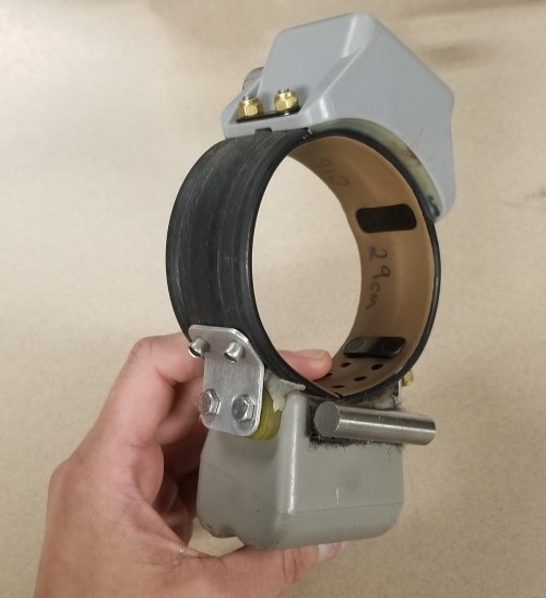 GPS collars like this one have been placed on 50 bobcats throughout Connecticut to collect important movement data.