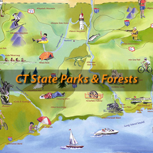 Color Map for CT State Parks and Forests 