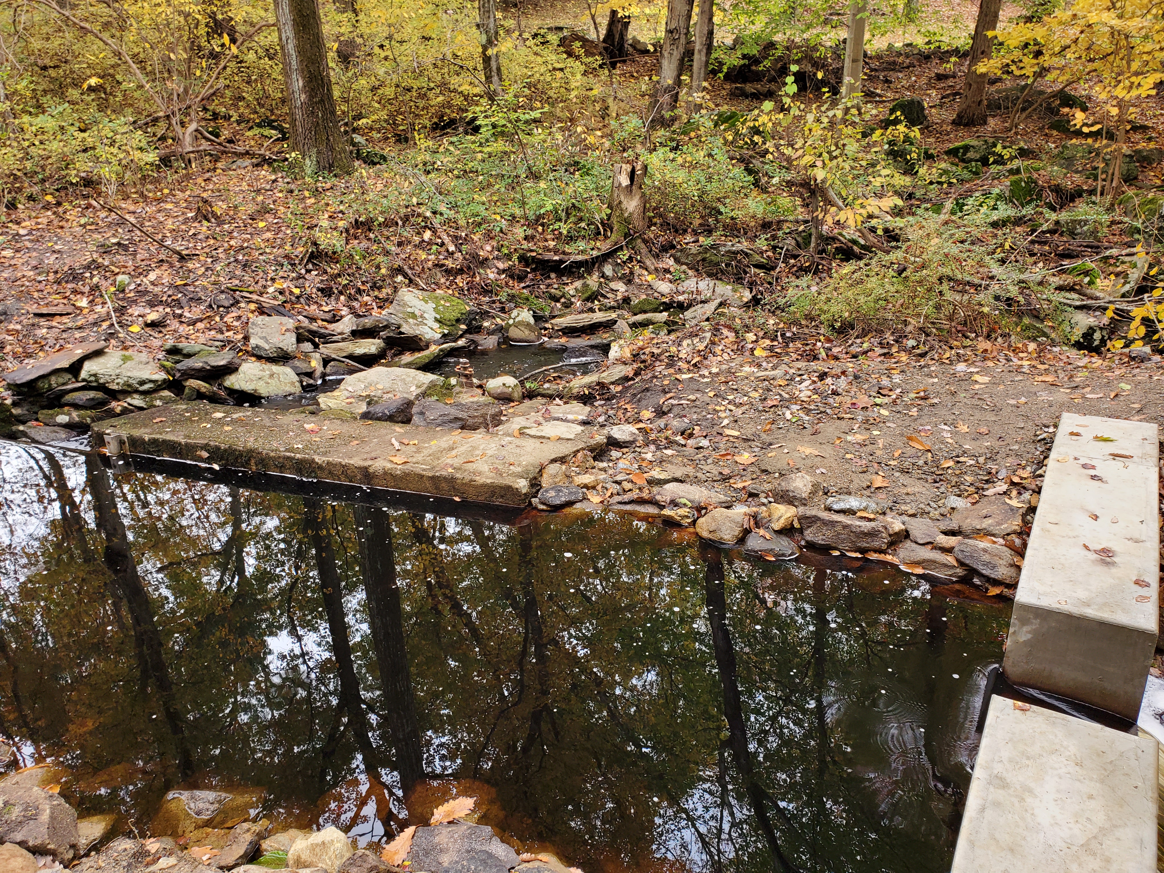 Impounded water body and weir